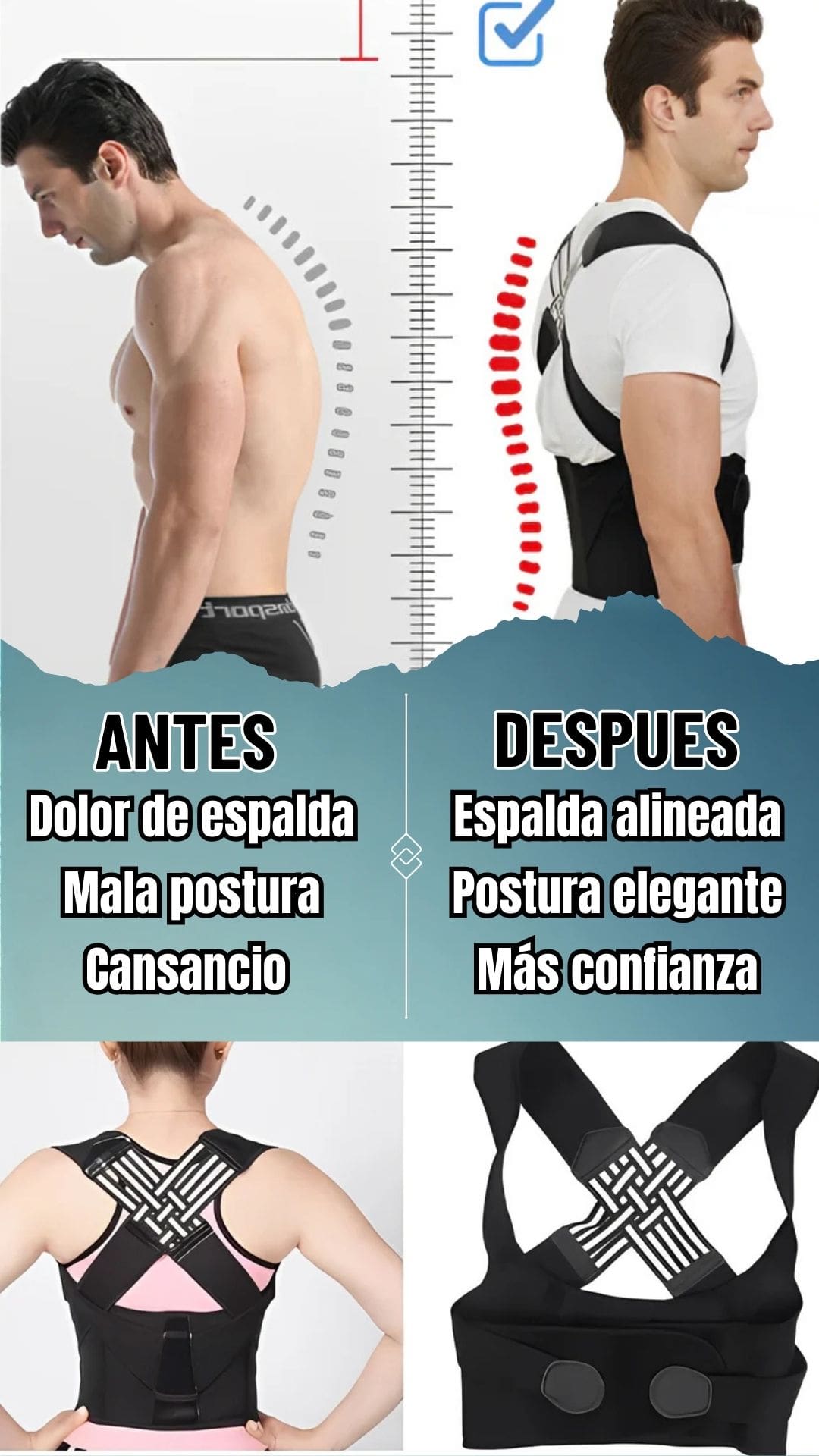 Encabezado
