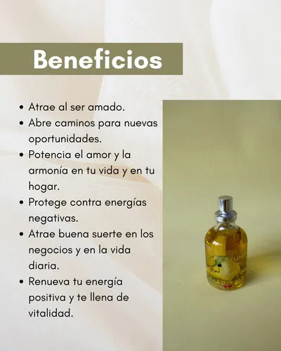 Encabezado