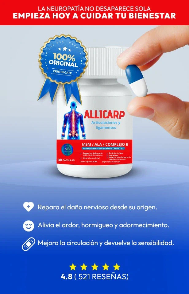 Encabezado