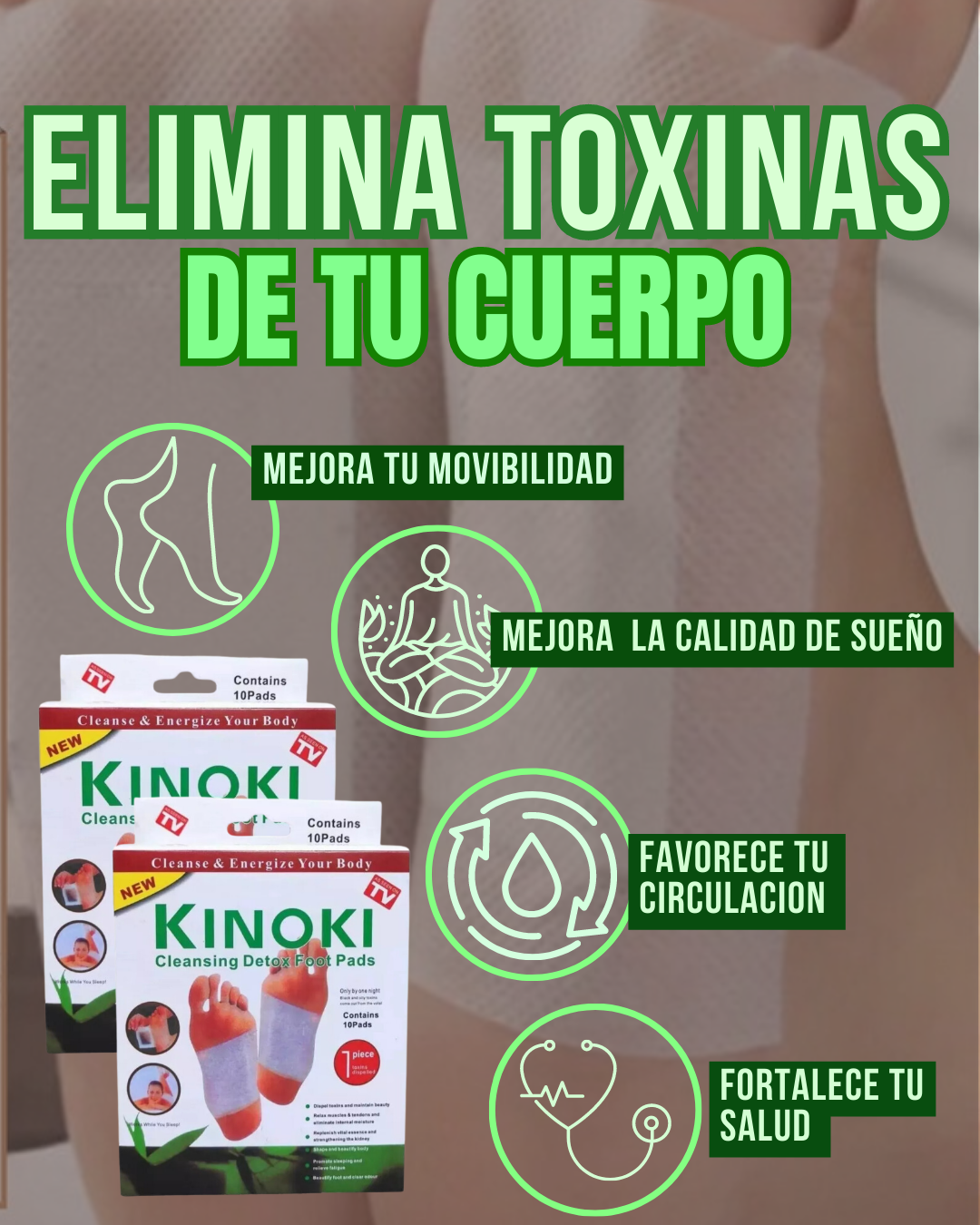Encabezado